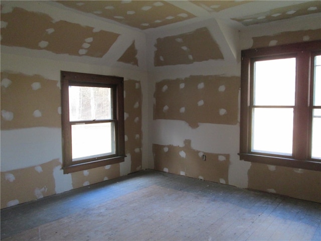 empty room with hardwood / wood-style flooring