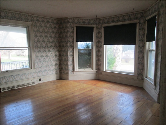 spare room featuring wood-type flooring