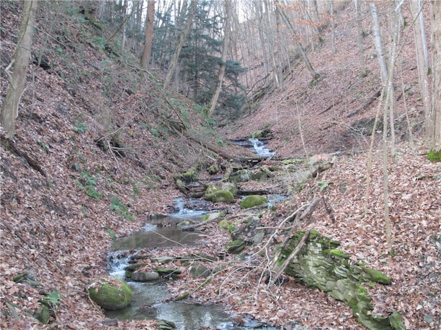 view of landscape