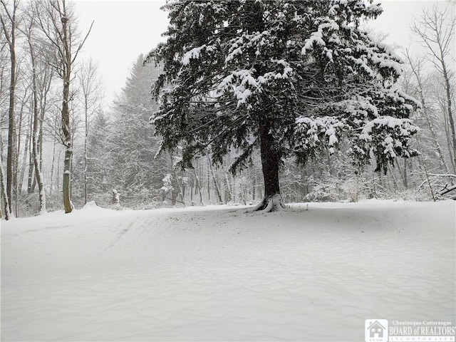 130/118 N Main St, New Albion, NY 14719 - view of surrounding community