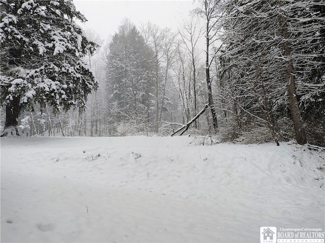 130/118 N Main St, New Albion, NY 14719 - view of snow covered land