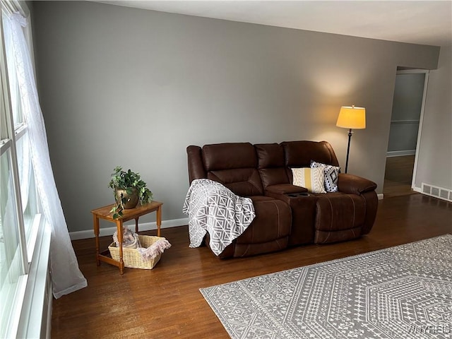 living room featuring wood-type flooring