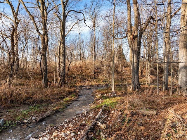 view of local wilderness