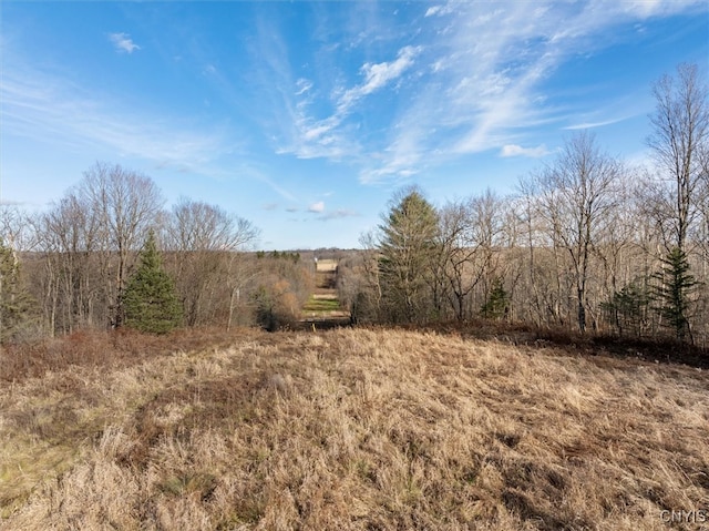 view of local wilderness with a rural view