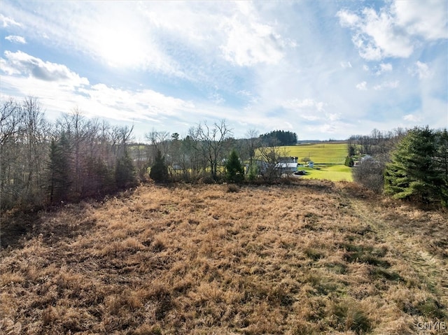 view of yard with a rural view