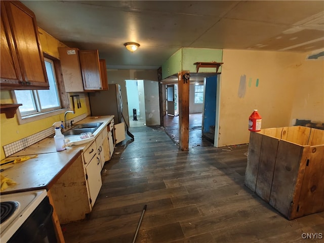 kitchen with sink and dark hardwood / wood-style floors