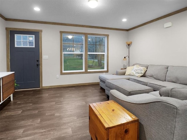 living room featuring a textured ceiling, dark wood-type flooring, and ornamental molding