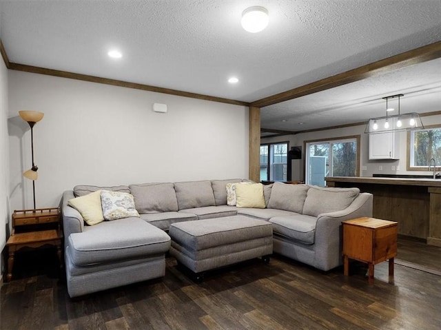 living room featuring dark wood-type flooring, a textured ceiling, and ornamental molding