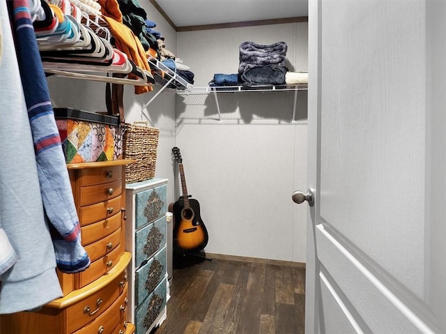 walk in closet with dark wood-type flooring