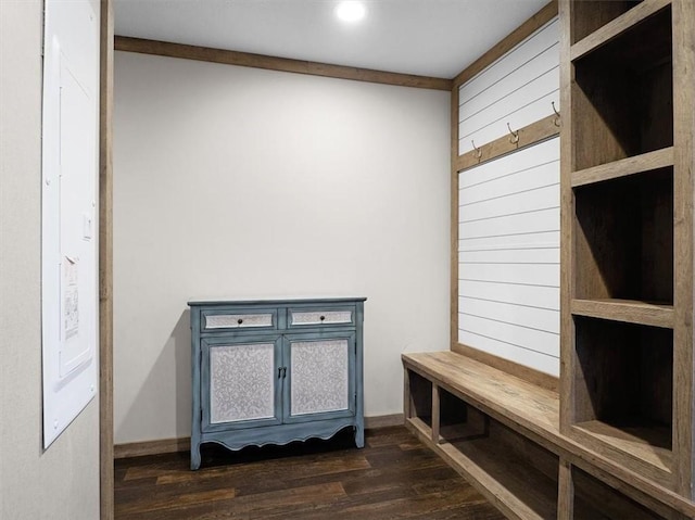 mudroom with dark hardwood / wood-style flooring