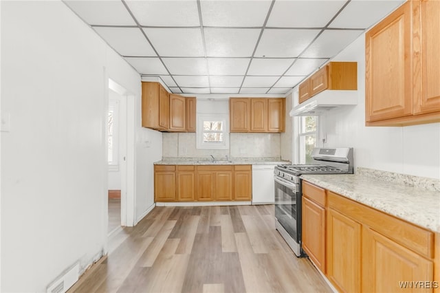 kitchen with stainless steel gas range oven, dishwasher, plenty of natural light, and light hardwood / wood-style flooring