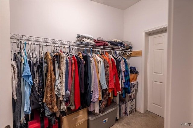 spacious closet with carpet floors