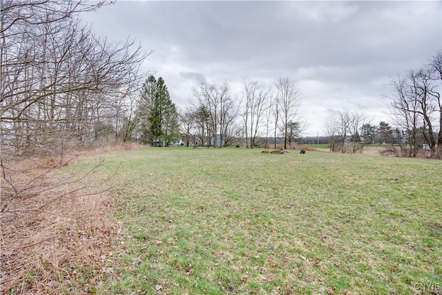 view of yard with a rural view