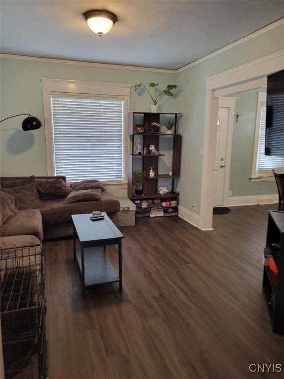 living room featuring dark hardwood / wood-style floors and crown molding