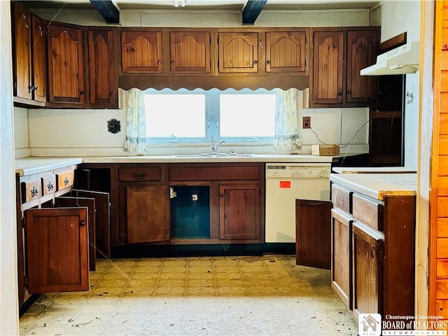 kitchen with plenty of natural light, white dishwasher, and sink