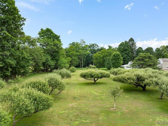 view of yard with a rural view