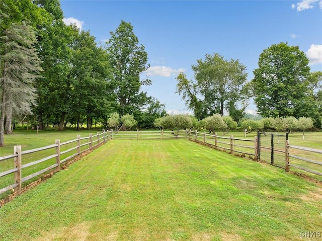 view of yard with a rural view