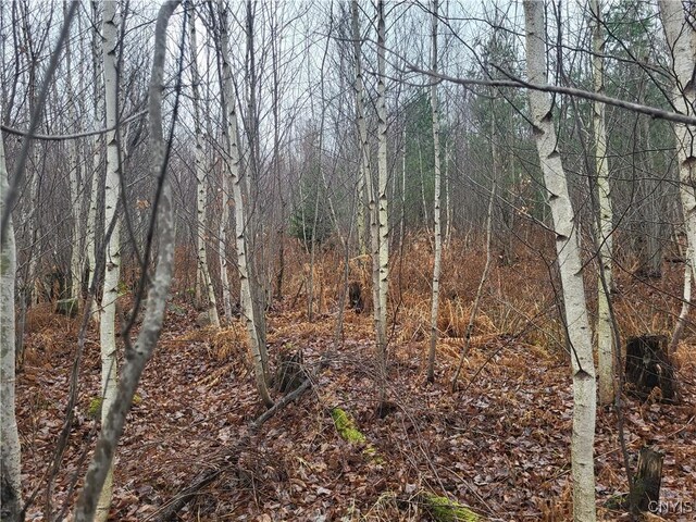 00 Ridge Rd, Fine, NY 13639