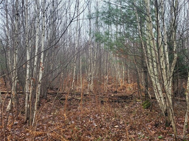 00 Ridge Rd, Fine, NY 13639
