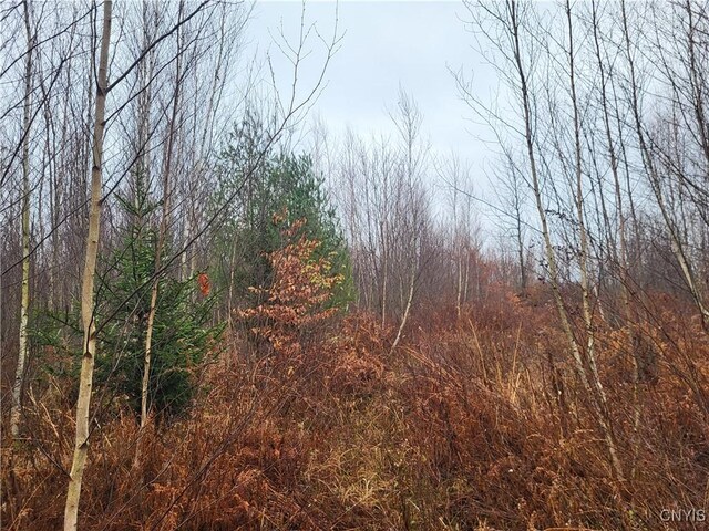 00 Ridge Rd, Fine, NY 13639