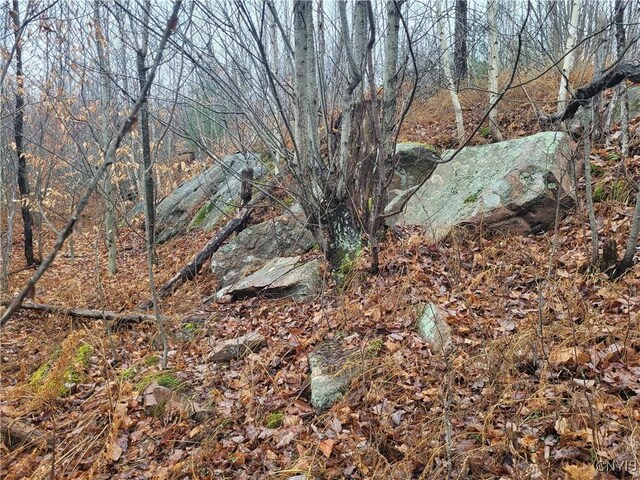 00 Ridge Rd, Fine, NY 13639