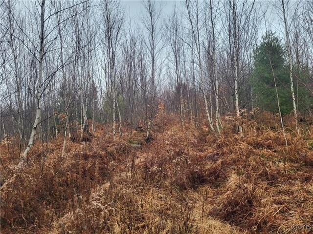 00 Ridge Rd, Fine, NY 13639