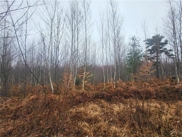 00 Ridge Rd, Fine, NY 13639