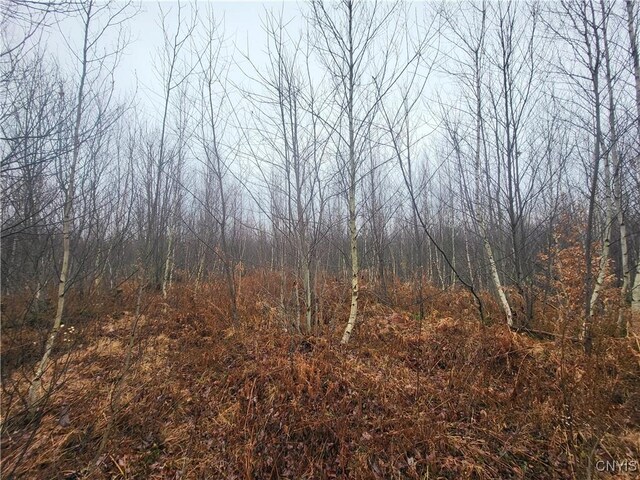 00 Ridge Rd, Fine, NY 13639