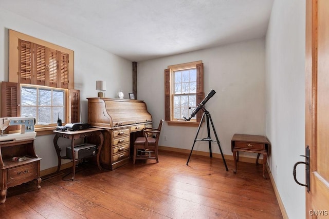 miscellaneous room featuring plenty of natural light and wood-type flooring