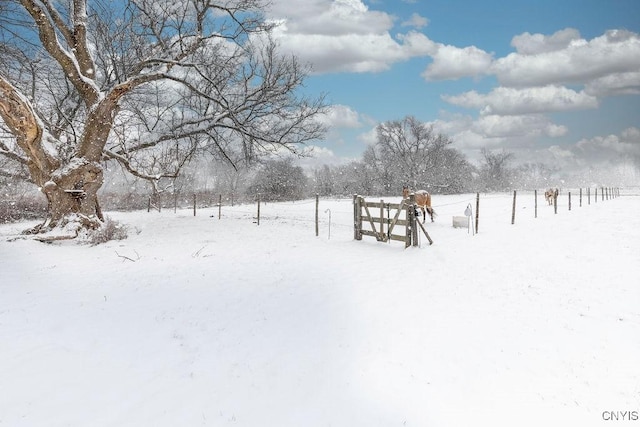 yard covered in snow with a rural view