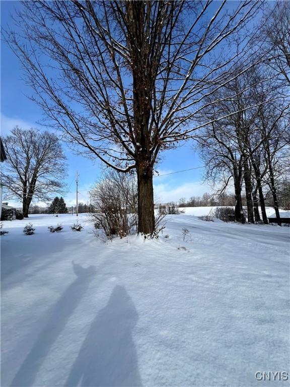 view of yard layered in snow