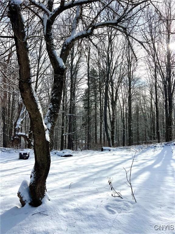 view of yard layered in snow