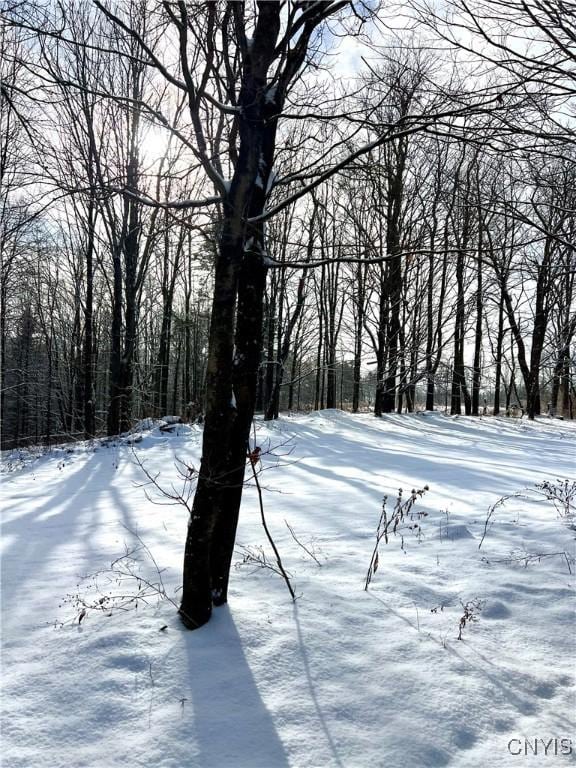 view of yard covered in snow