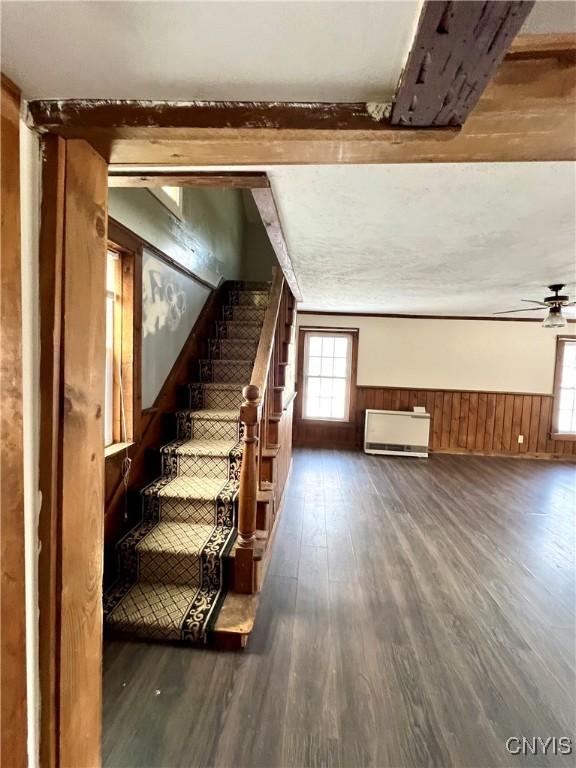 interior space with ceiling fan, hardwood / wood-style floors, and wood walls