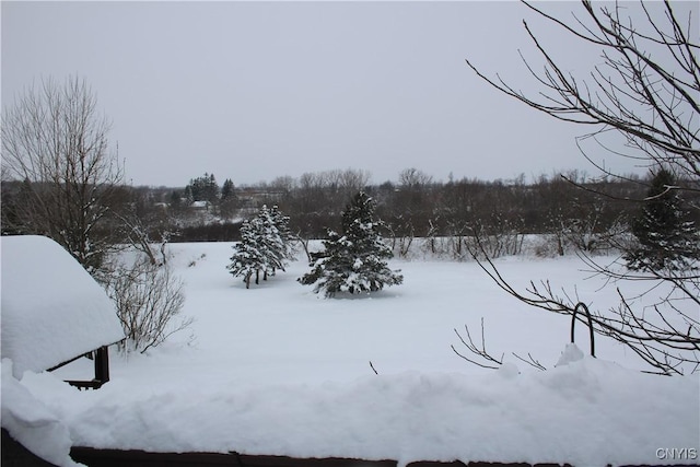 view of yard layered in snow