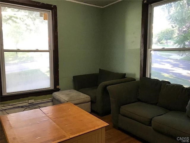 living room with wood-type flooring and ornamental molding