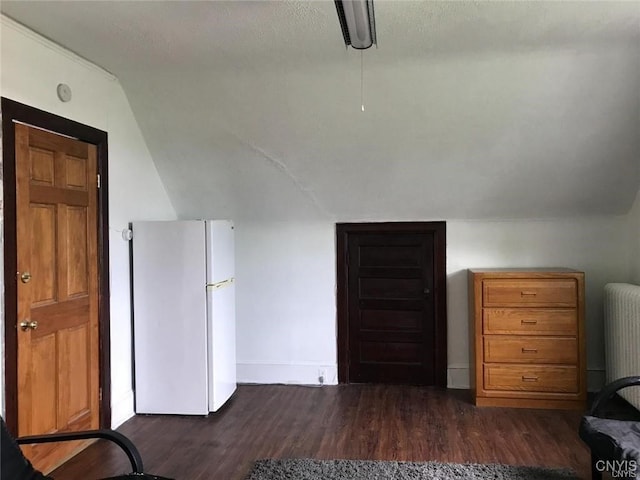 interior space with lofted ceiling, radiator heating unit, and dark hardwood / wood-style floors