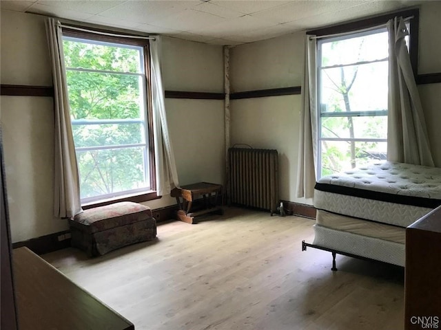 miscellaneous room featuring radiator heating unit, a healthy amount of sunlight, and light hardwood / wood-style floors