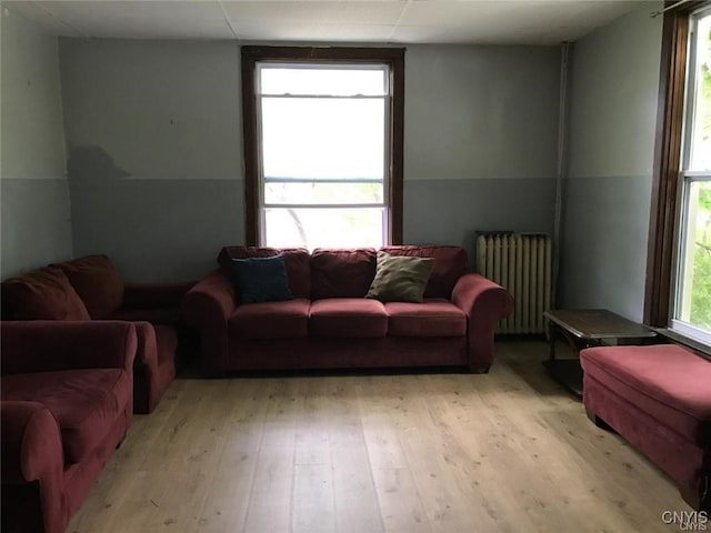 living room featuring radiator and light hardwood / wood-style flooring