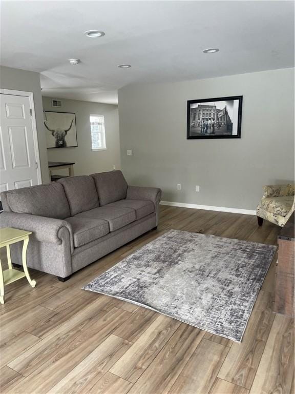 living room featuring wood-type flooring