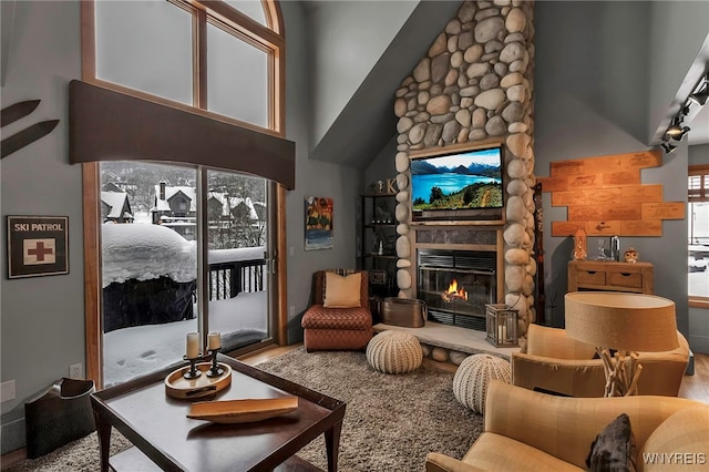 living room with hardwood / wood-style floors, a fireplace, and a high ceiling