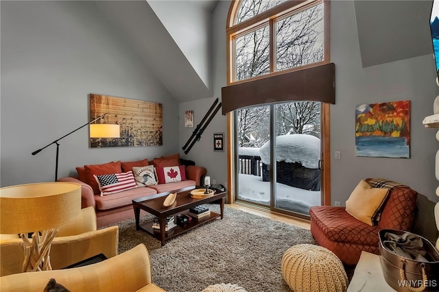 living room with a towering ceiling and wood-type flooring