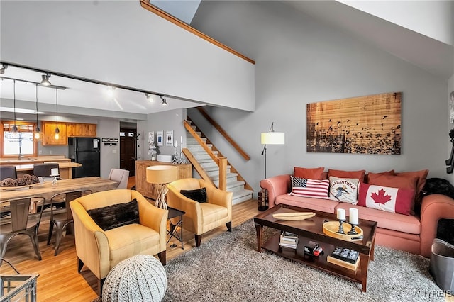 living room featuring light hardwood / wood-style flooring, rail lighting, and a high ceiling