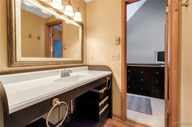 bathroom with wood-type flooring and vanity