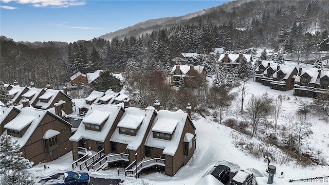 view of snowy aerial view