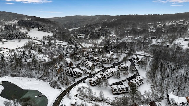 snowy aerial view featuring a mountain view