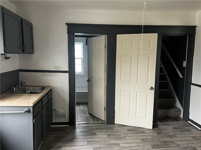 kitchen featuring dark hardwood / wood-style flooring and sink