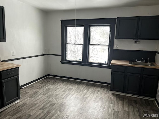 kitchen with hardwood / wood-style flooring, butcher block countertops, and sink