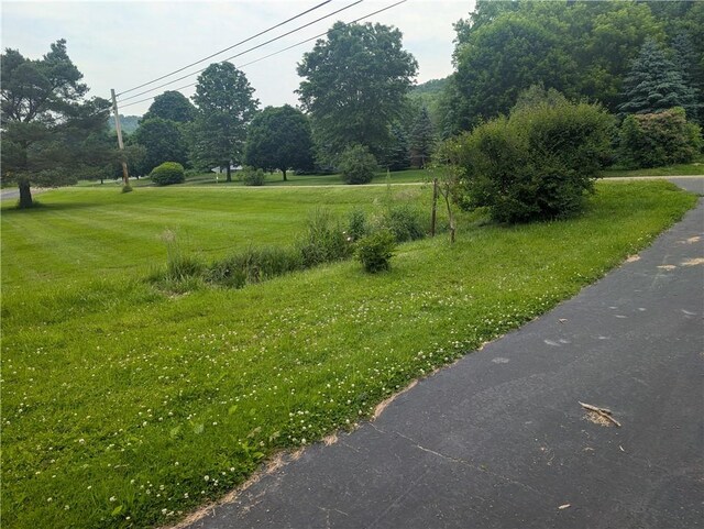 3142 Rte 155, Liberty Town, PA 16743 - photo 37