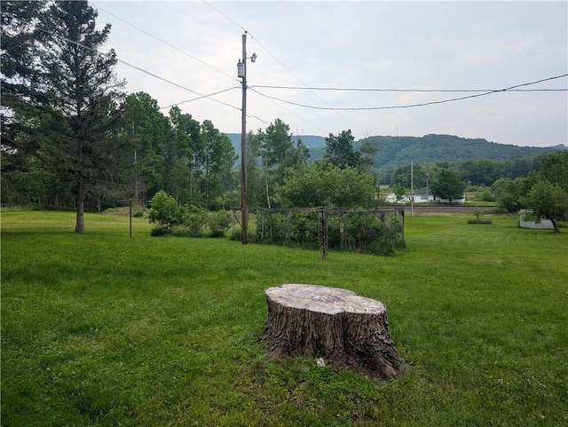 3142 Rte 155, Liberty Town, PA 16743 - photo 40